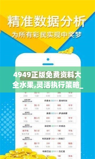 4949正版免费资料大全水果,灵活执行策略_ios4.581