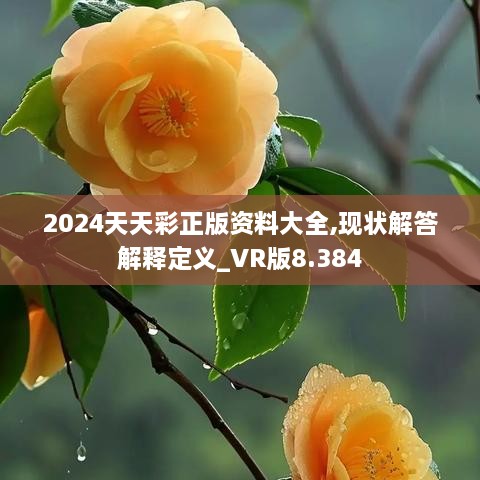 2024年12月13日 第20页