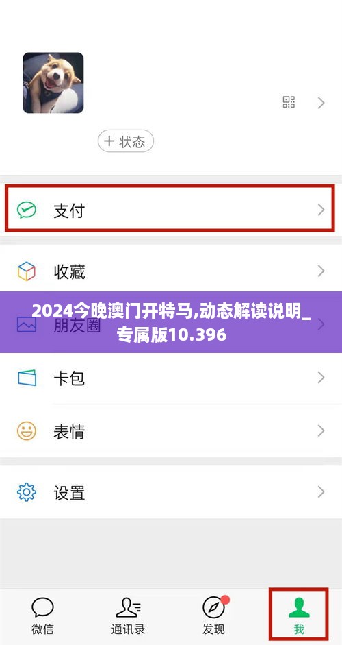 2024今晚澳门开特马,动态解读说明_专属版10.396