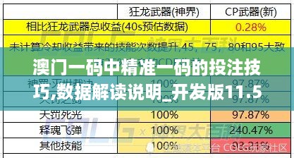 澳门一码中精准一码的投注技巧,数据解读说明_开发版11.572