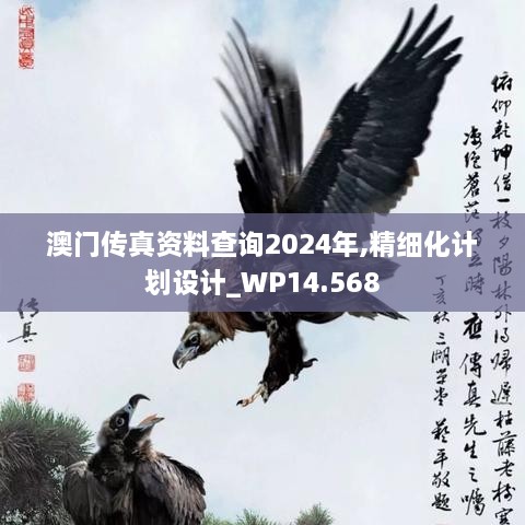 澳门传真资料查询2024年,精细化计划设计_WP14.568