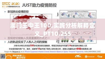 澳门王中王100,实践分析解释定义_PT10.255