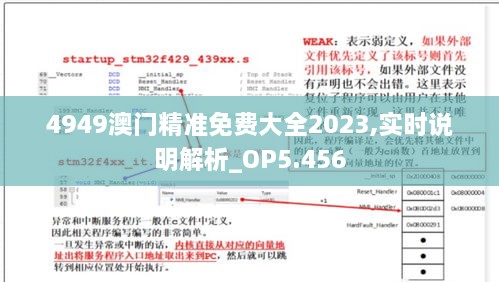 4949澳门精准免费大全2023,实时说明解析_OP5.456