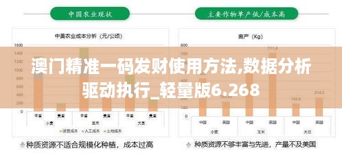 澳门精准一码发财使用方法,数据分析驱动执行_轻量版6.268