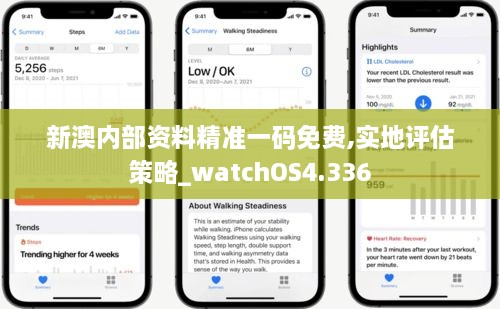 新澳内部资料精准一码免费,实地评估策略_watchOS4.336