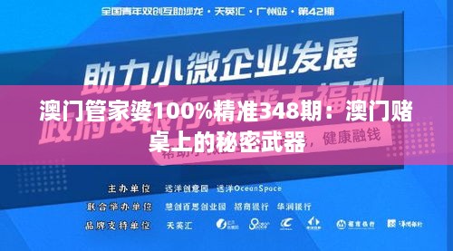 澳门管家婆100%精准348期：澳门赌桌上的秘密武器