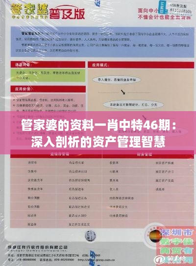 管家婆的资料一肖中特46期：深入剖析的资产管理智慧