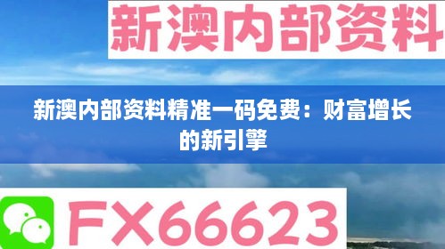 新澳内部资料精准一码免费：财富增长的新引擎