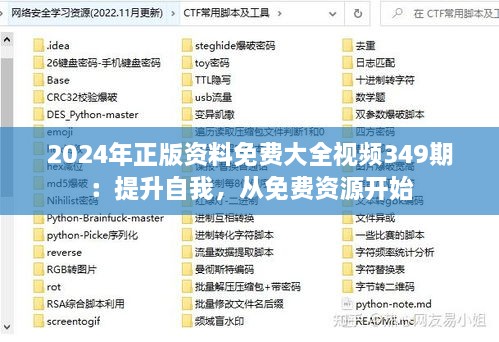 2024年正版资料免费大全视频349期：提升自我，从免费资源开始