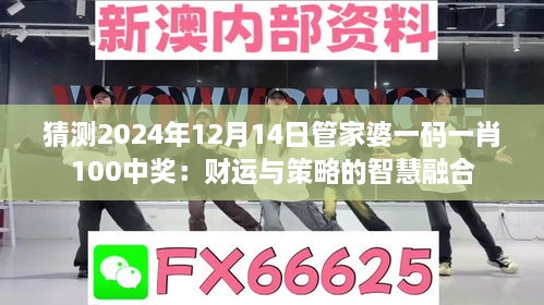 2024年12月14日 第9页