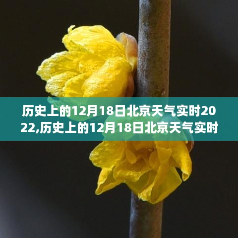 深度评测，历史上的12月18日北京天气实时数据分析与产品体验分享