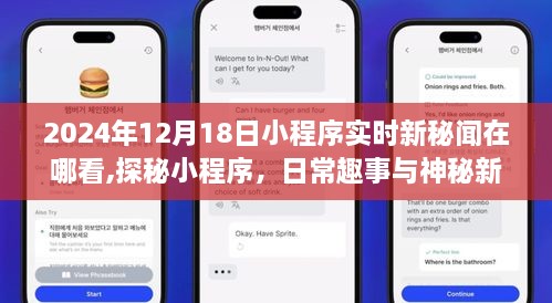探秘小程序，日常趣事与神秘新秘闻的交汇点（实时更新，2024年12月18日）