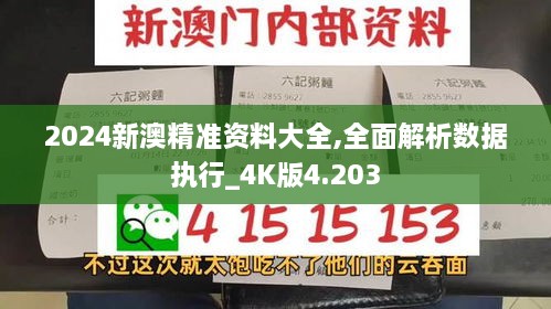 2024新澳精准资料大全,全面解析数据执行_4K版4.203