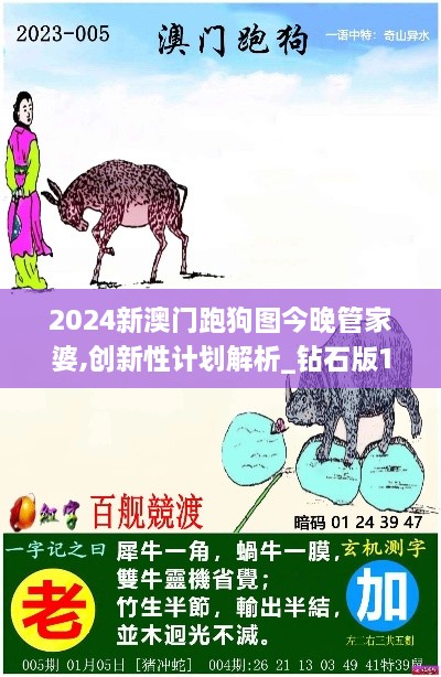 2024新澳门跑狗图今晚管家婆,创新性计划解析_钻石版10.976