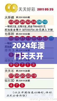 2024年澳门天天开好彩正版资料,实地执行考察设计_Surface6.504