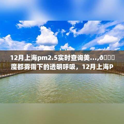 魔都雾霭下的透明呼吸，12月上海PM2.5实时查询指南