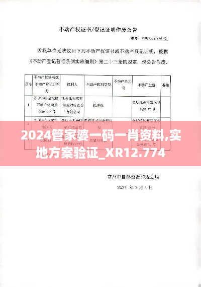 2024管家婆一码一肖资料,实地方案验证_XR12.774