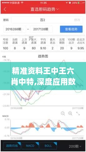 精准资料王中王六肖中特,深度应用数据解析_策略版1.949