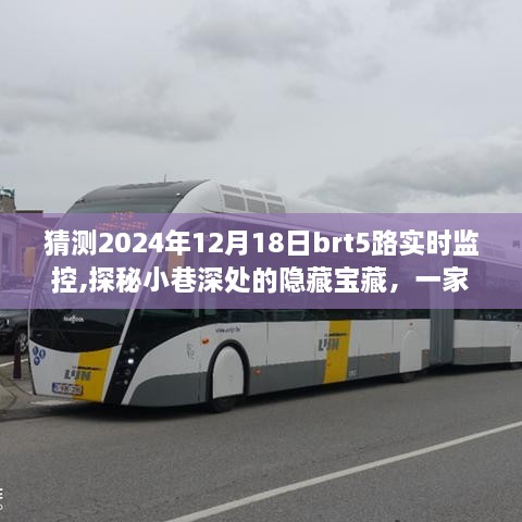 探秘小巷深处的宝藏小店，BRT5路时光之旅，2024年12月18日实时监控揭秘之旅