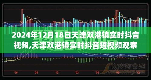 天津双港镇实时抖音视频观察报告，2024年12月18日的一天观察纪实