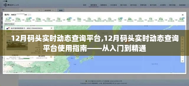 12月码头实时动态查询平台，从入门到精通的使用指南