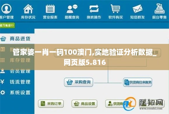 管家婆一肖一码100澳门,实地验证分析数据_网页版5.816