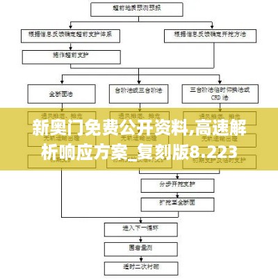 新奥门免费公开资料,高速解析响应方案_复刻版8.223