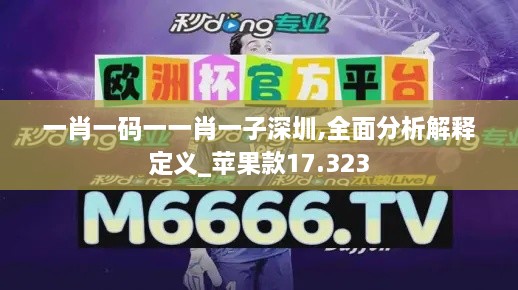 一肖一码一一肖一子深圳,全面分析解释定义_苹果款17.323