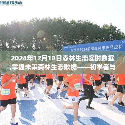 初学者与进阶用户获取2024年12月18日森林生态实时数据全面指南