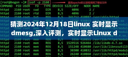 2024年Linux dmesg实时显示技术深度解析与未来发展预测