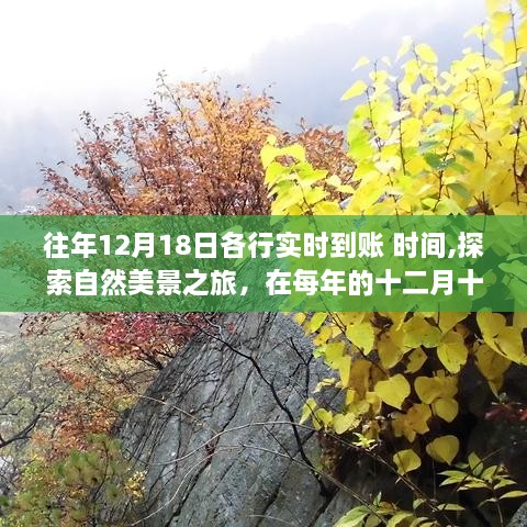 每年十二月十八日，实时到账与心灵对话的自然美景探索之旅