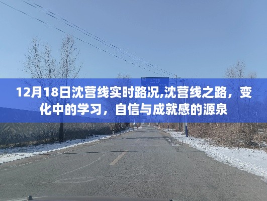 沈营线之路，实时路况下的学习与成就之路