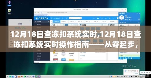 12月18日查冻扣系统实时操作指南，从零开始，掌握查冻扣流程全攻略