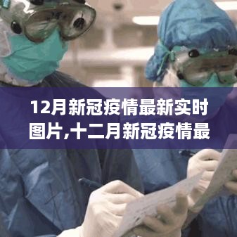 共同见证抗击疫情的力量与希望，十二月新冠疫情最新实时图片