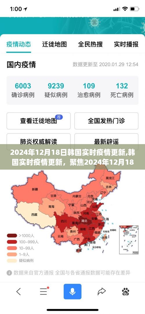 2024年12月18日韩国疫情实时更新，最新动态与数据聚焦