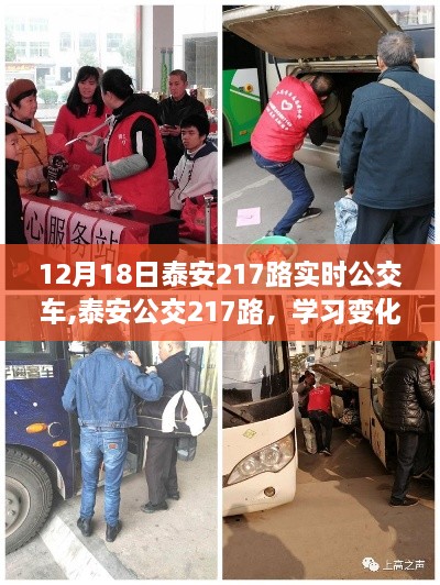 泰安公交217路，驶向成功的旅程，学习变化的力量与实时公交之旅