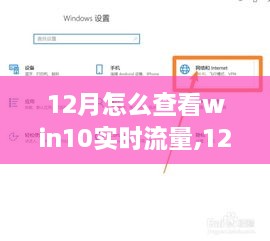 Win10实时流量查看指南，全面评测与介绍，12月必备技巧