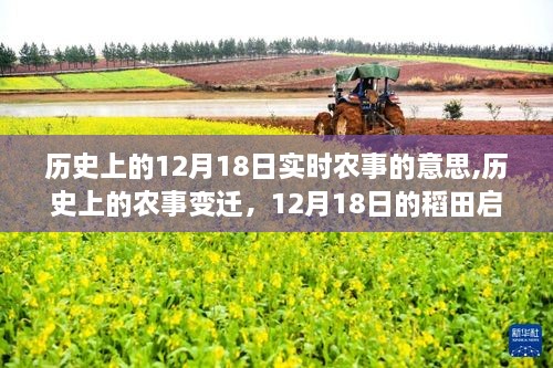 12月18日农事变迁启示，稻田里的自信与历史洞察