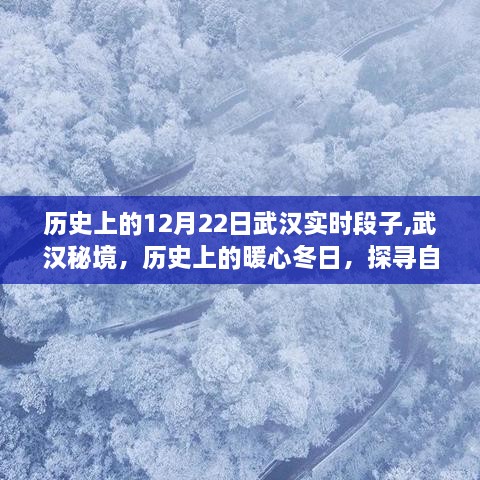 武汉秘境，历史上的暖心冬日探寻自然美景之旅——12月22日实时段子分享