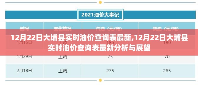 12月22日大埔县实时油价查询表最新分析与展望