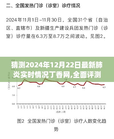 丁香网预测，2024年12月22日最新肺炎实时情况全面评测与介绍