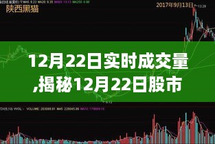 揭秘股市实时成交量背后的故事，12月22日股市实时成交量分析