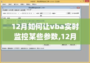 VBA实时监控策略，12月参数监控详解与策略分享