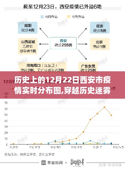 西安市疫情实时分布图，穿越历史迷雾的绿色启示录