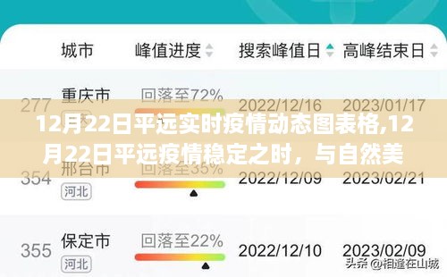 12月22日平远疫情动态与美景探索，宁静之旅的实时记录