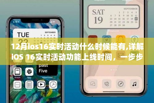 详解iOS 16实时活动功能上线时间，教你跟进与准备，预计12月上线时间揭秘！
