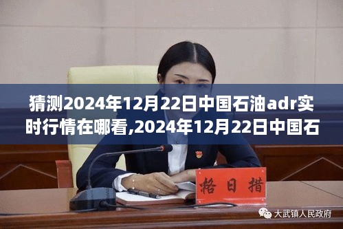 中国石油ADR实时行情预测与查看途径，探讨2024年12月22日的行情及预测分析