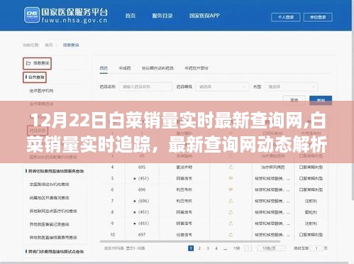 12月22日白菜销量实时追踪与解析，最新查询网动态