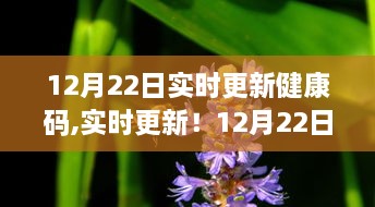 12月22日健康码实时更新最新动态