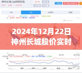 揭秘神州长城股价动态，实时解析与未来投资风向预测